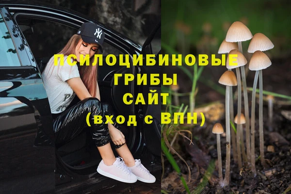 гашик Кукмор